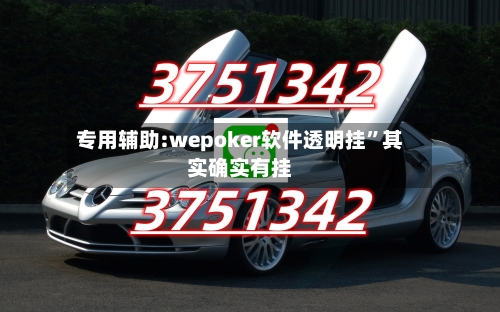 专用辅助:wepoker软件透明挂”其实确实有挂-第2张图片