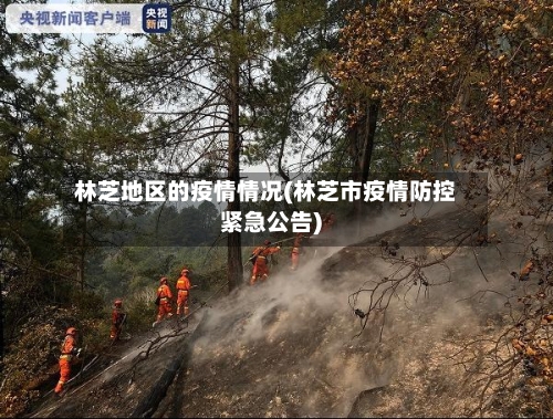 林芝地区的疫情情况(林芝市疫情防控紧急公告)-第1张图片