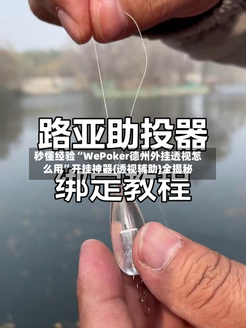秒懂经验“WePoker德州外挂透视怎么用”开挂神器{透视辅助}全揭秘-第3张图片
