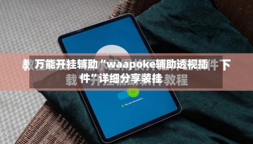 万能开挂辅助“waapoke辅助透视插件”详细分享装挂-第3张图片