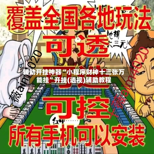 辅助开挂神器“小程序财神十三张万能挂”开挂(透视)辅助教程-第3张图片