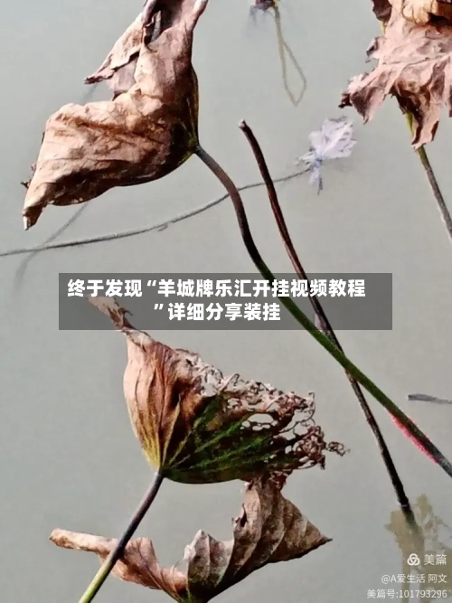 终于发现“羊城牌乐汇开挂视频教程”详细分享装挂-第1张图片