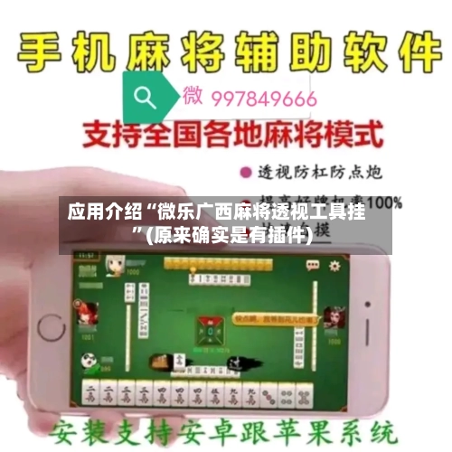 应用介绍“微乐广西麻将透视工具挂	”(原来确实是有插件)-第2张图片