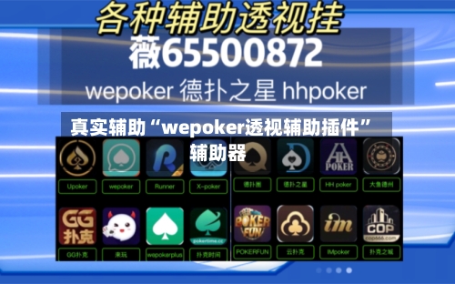 真实辅助“wepoker透视辅助插件”辅助器-第2张图片