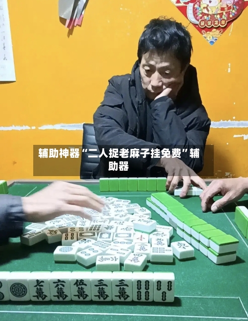 辅助神器“二人捉老麻子挂免费”辅助器-第3张图片