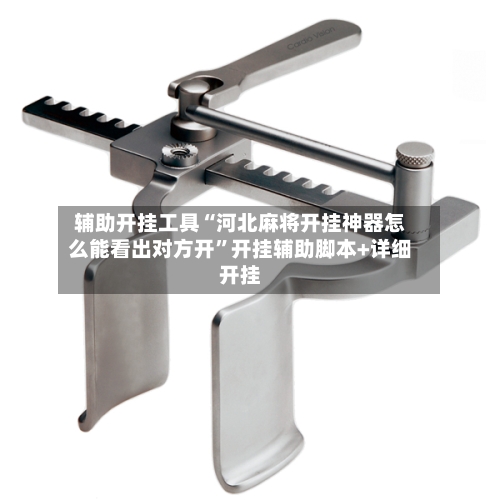 辅助开挂工具“河北麻将开挂神器怎么能看出对方开”开挂辅助脚本+详细开挂-第1张图片