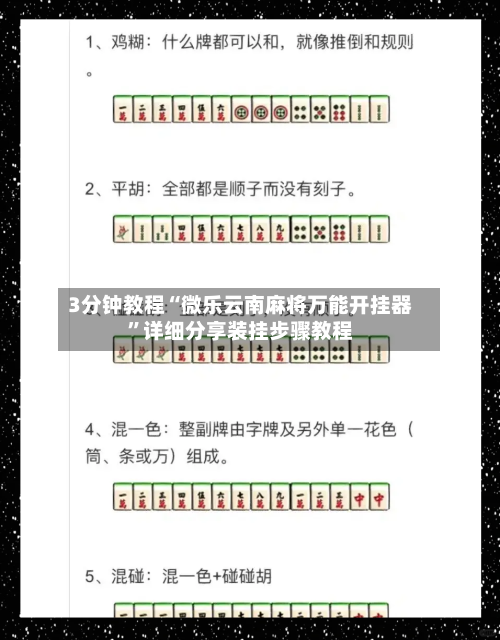 3分钟教程“微乐云南麻将万能开挂器”详细分享装挂步骤教程-第2张图片