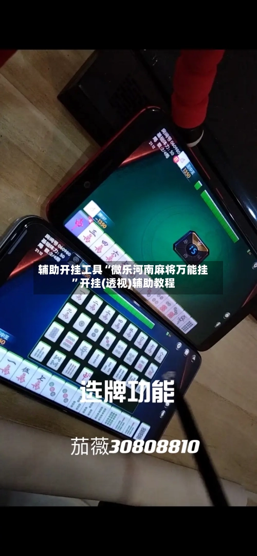 辅助开挂工具“微乐河南麻将万能挂”开挂(透视)辅助教程-第2张图片