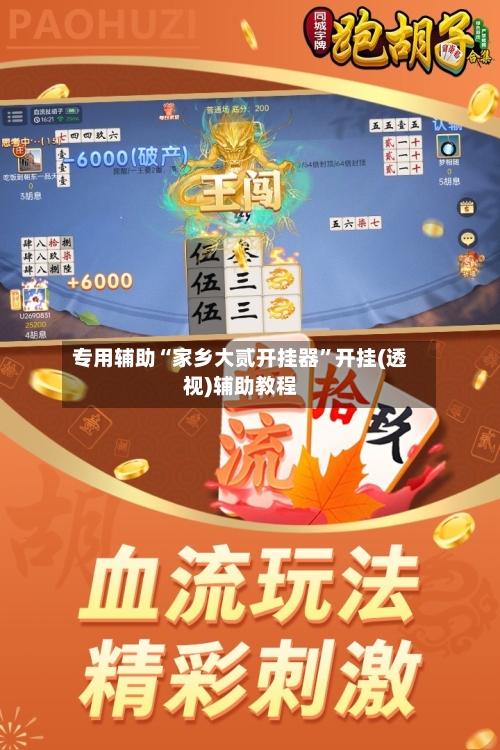 专用辅助“家乡大贰开挂器	”开挂(透视)辅助教程-第2张图片