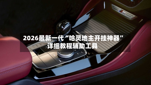 2026最新一代“哈灵地主开挂神器”详细教程辅助工具-第3张图片