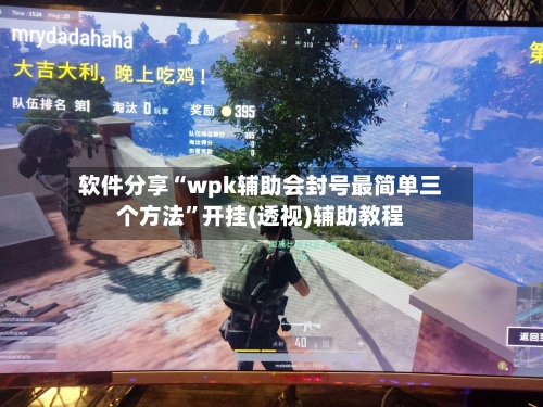 软件分享“wpk辅助会封号最简单三个方法”开挂(透视)辅助教程-第2张图片
