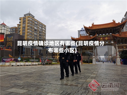 昆明疫情确诊地区有哪些(昆明疫情分布哪些小区)-第1张图片