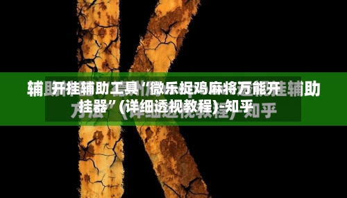 开挂辅助工具“微乐捉鸡麻将万能开挂器	”(详细透视教程)-知乎-第2张图片