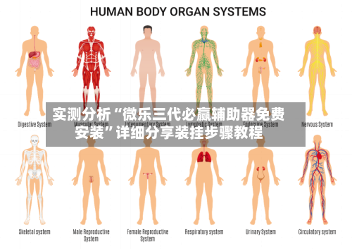 实测分析“微乐三代必赢辅助器免费安装”详细分享装挂步骤教程-第3张图片
