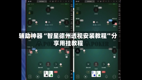 辅助神器“智星德州透视安装教程”分享用挂教程-第2张图片