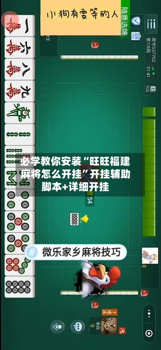 必学教你安装“旺旺福建麻将怎么开挂”开挂辅助脚本+详细开挂-第2张图片