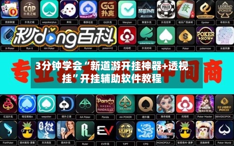 3分钟学会“新道游开挂神器+透视挂	”开挂辅助软件教程-第1张图片