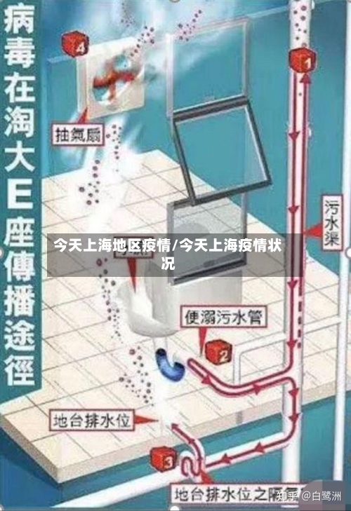 今天上海地区疫情/今天上海疫情状况-第3张图片