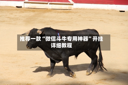 推荐一款“微信斗牛专用神器”开挂详细教程-第1张图片