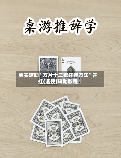 真实辅助“方片十三张开挂方法”开挂(透视)辅助教程-第3张图片