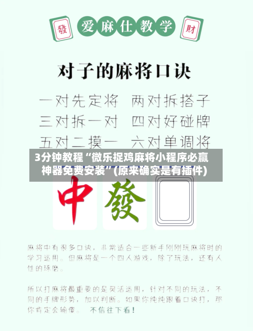 3分钟教程“微乐捉鸡麻将小程序必赢神器免费安装”(原来确实是有插件)-第2张图片