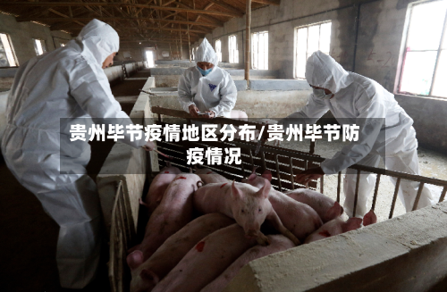 贵州毕节疫情地区分布/贵州毕节防疫情况-第2张图片