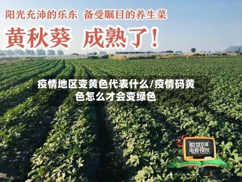 疫情地区变黄色代表什么/疫情码黄色怎么才会变绿色-第1张图片