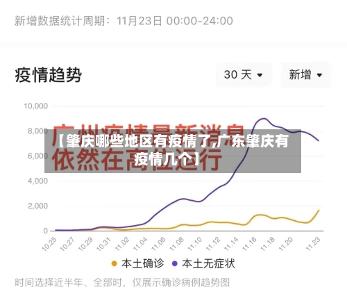 【肇庆哪些地区有疫情了,广东肇庆有疫情几个】-第2张图片