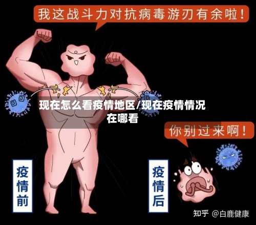 现在怎么看疫情地区/现在疫情情况在哪看-第2张图片