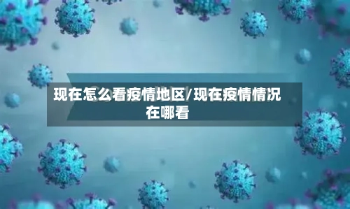 现在怎么看疫情地区/现在疫情情况在哪看-第3张图片