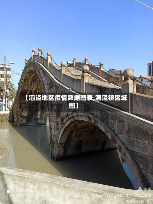 【泗泾地区疫情数据图表,泗泾镇区域图】-第2张图片