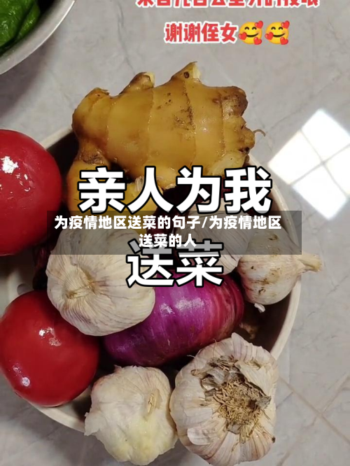 为疫情地区送菜的句子/为疫情地区送菜的人-第1张图片