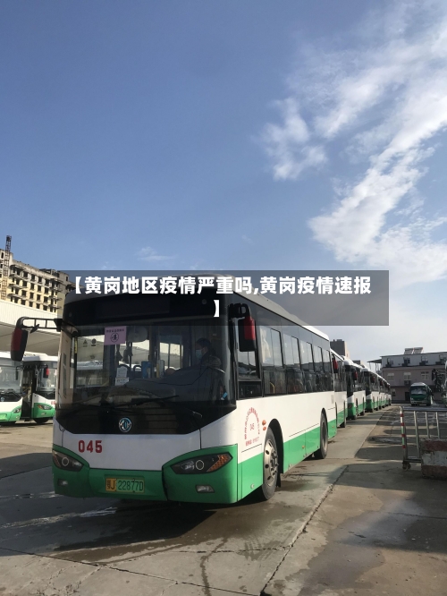 【黄岗地区疫情严重吗,黄岗疫情速报】-第3张图片