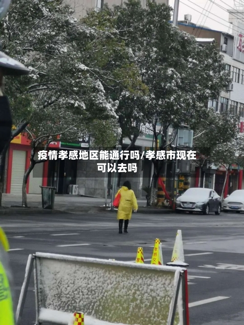 疫情孝感地区能通行吗/孝感市现在可以去吗-第2张图片