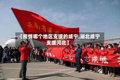 【疫情哪个地区支援的咸宁,湖北咸宁支援河北】-第2张图片