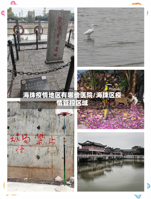 海珠疫情地区有哪些医院/海珠区疫情管控区域-第1张图片