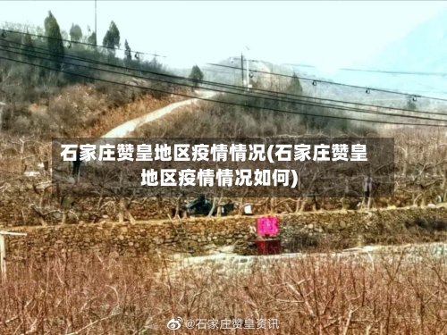 石家庄赞皇地区疫情情况(石家庄赞皇地区疫情情况如何)-第2张图片