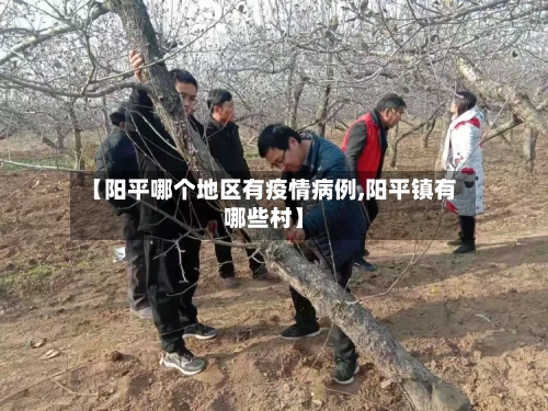 【阳平哪个地区有疫情病例,阳平镇有哪些村】-第3张图片