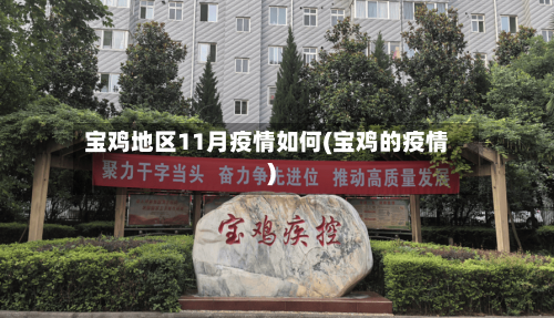 宝鸡地区11月疫情如何(宝鸡的疫情)-第2张图片