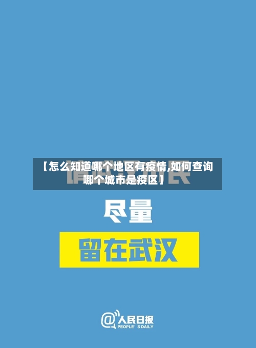 【怎么知道哪个地区有疫情,如何查询哪个城市是疫区】-第1张图片
