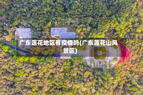广东莲花地区有疫情吗(广东莲花山风景区)-第1张图片