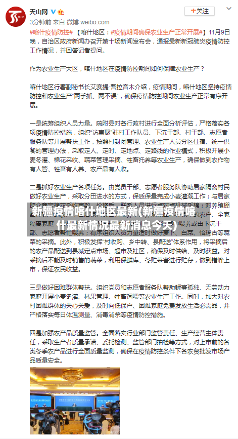 新疆疫情喀什地区最新(新疆疫情喀什最新情况最新消息今天)-第2张图片