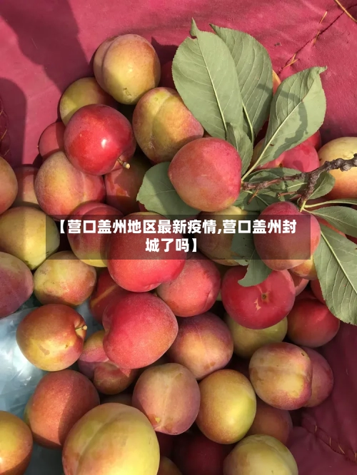 【营口盖州地区最新疫情,营口盖州封城了吗】-第1张图片