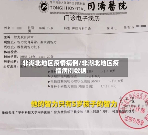 非湖北地区疫情病例/非湖北地区疫情病例数据-第3张图片